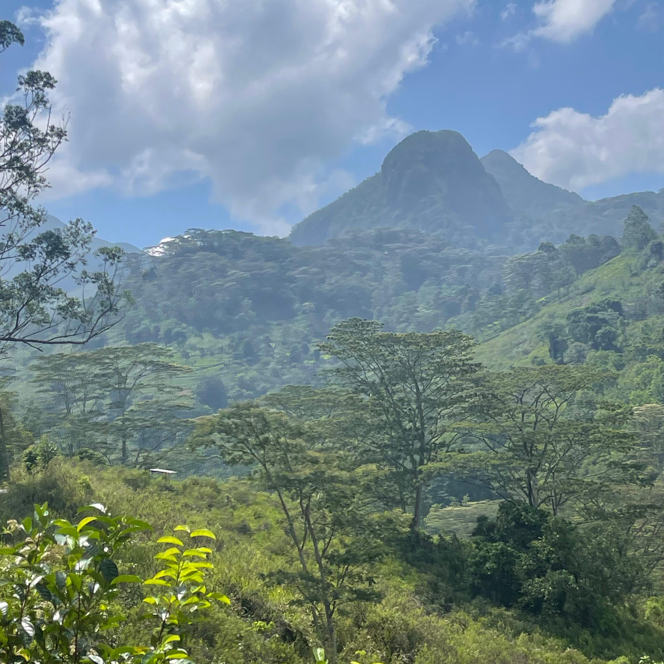 Gallery of Duwili Ella Trail - Knuckles mountain range