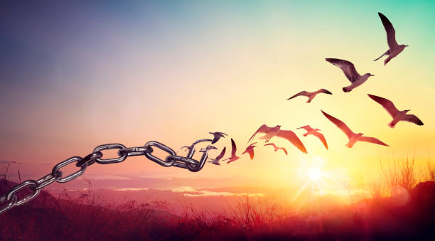 Is freedom, fear?